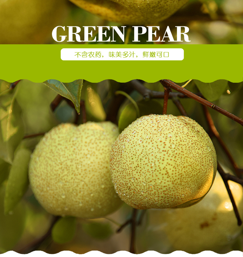 商品描述(2).jpg