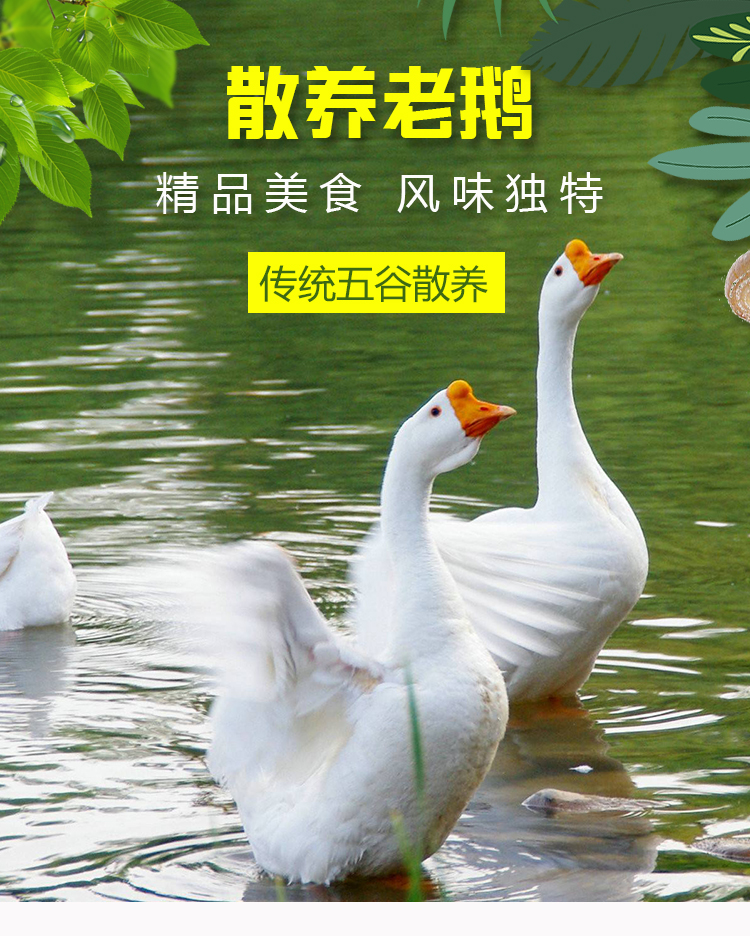 商品描述(1).jpg