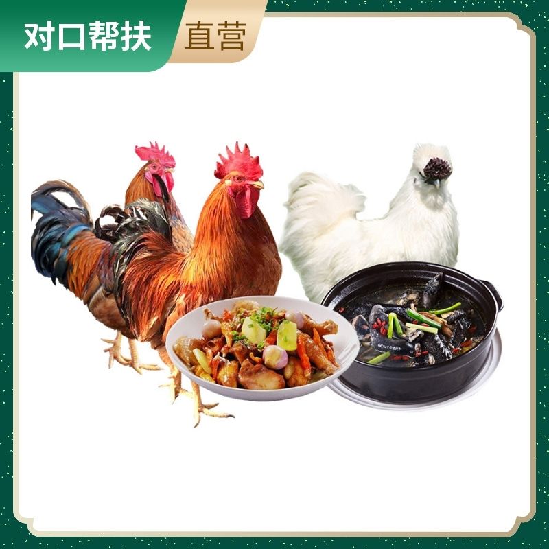 【乡村振兴 · 消费助农】正宗散养乡村味道和城市健康结合的美味农家散养土鸡（（3只组合：净重约2斤/只±0.3）： 公鸡2只 乌鸡1只）