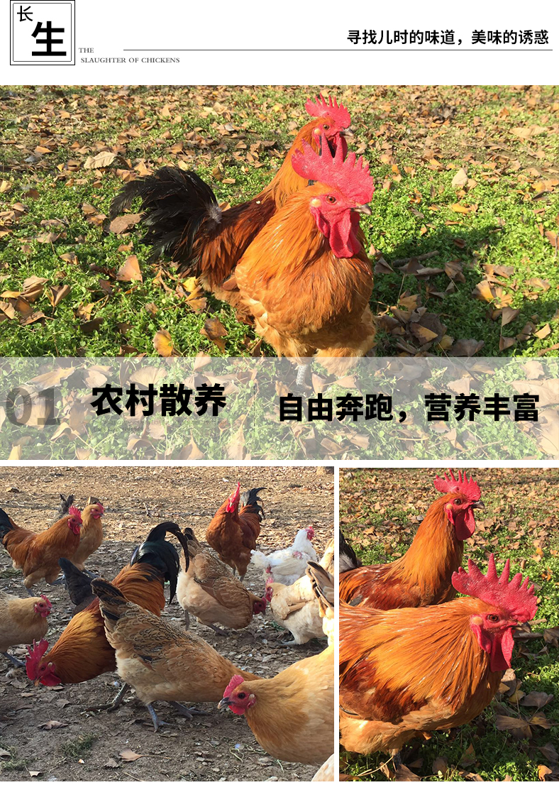 商品描述(3).jpg