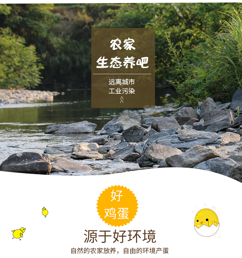 商品描述(3).jpg