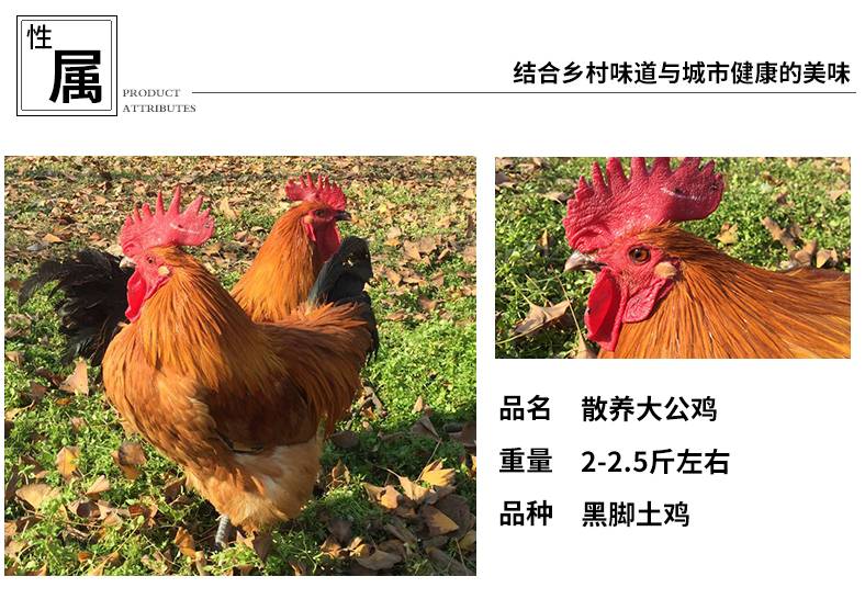 商品描述(2).jpg