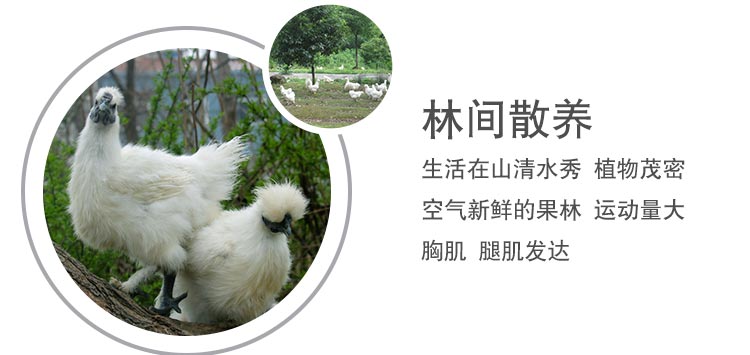商品描述(6).jpg