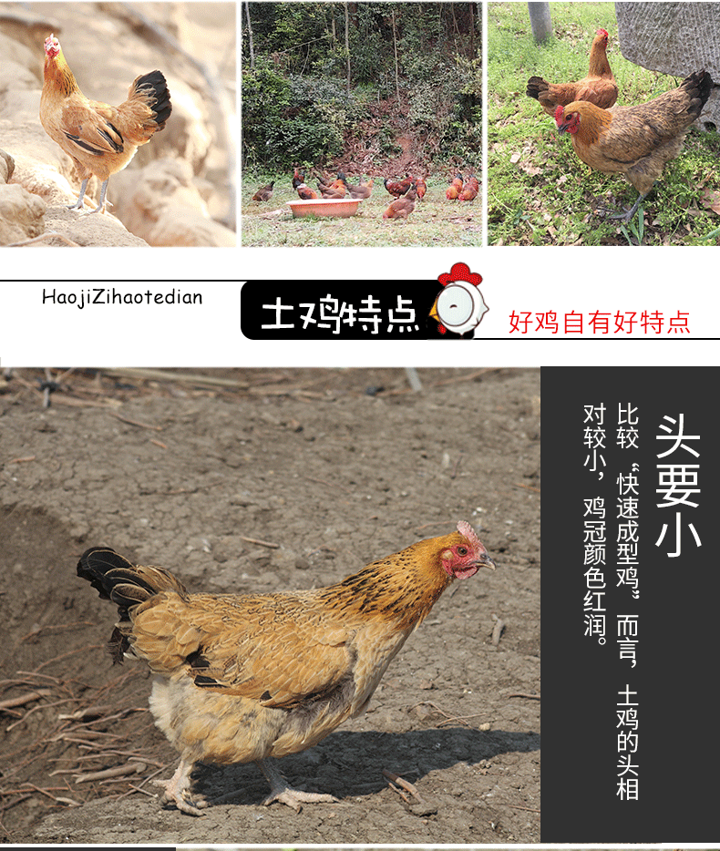 商品描述(5).png