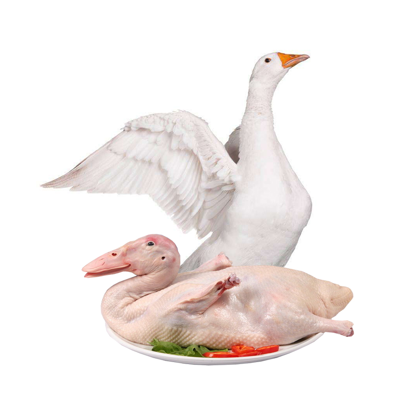 农家散养鹅肉1只装 5斤-5.5斤/只