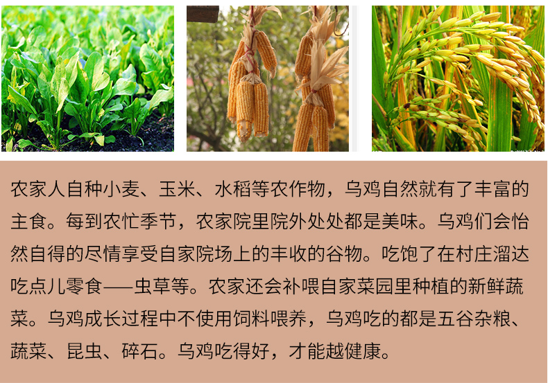 商品描述(5).jpg