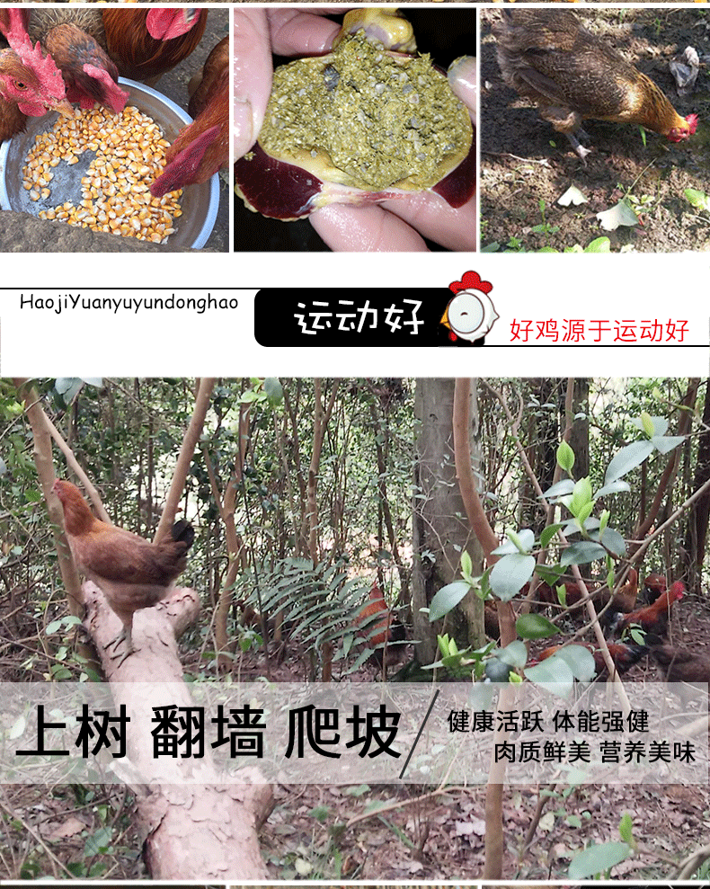 商品描述(3).png