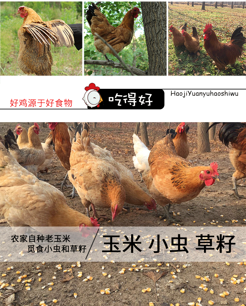商品描述(2).png