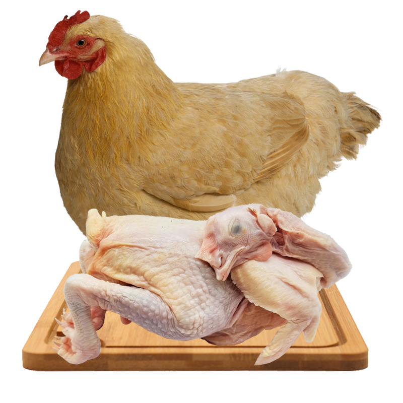 农家散养老母鸡2只装 单只1.8-2.4斤