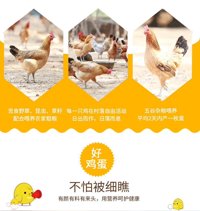 商品描述(5).jpg