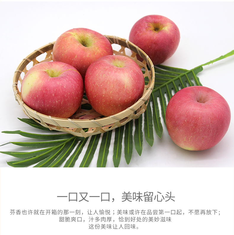 商品描述(5).jpg