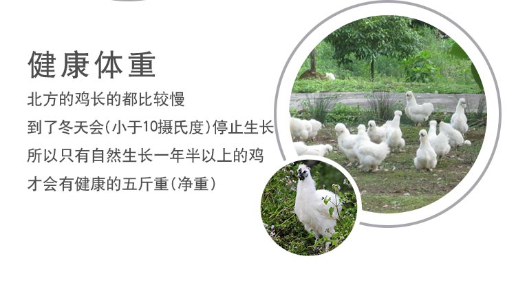 商品描述(7).jpg
