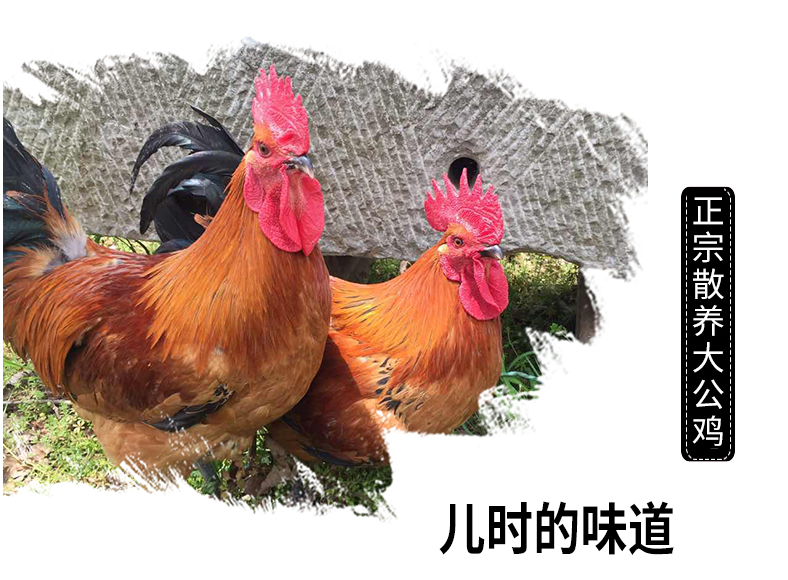 商品描述(1).jpg