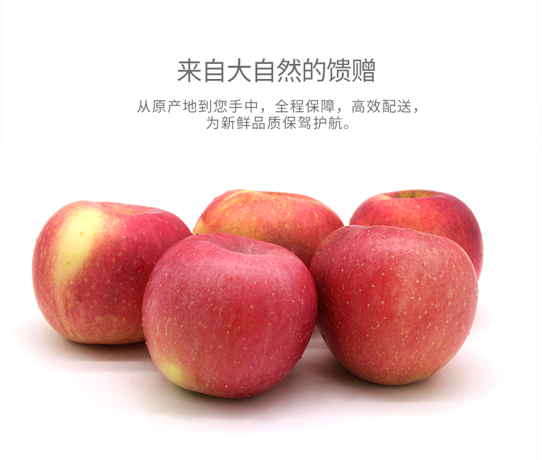 商品描述(2).jpg