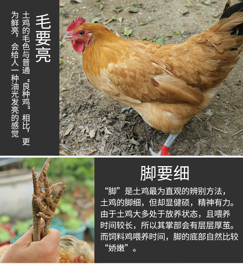 商品描述(6).png