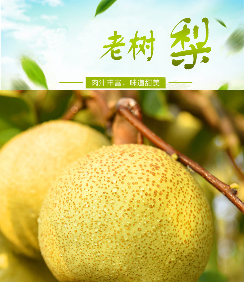 商品描述(1).jpg