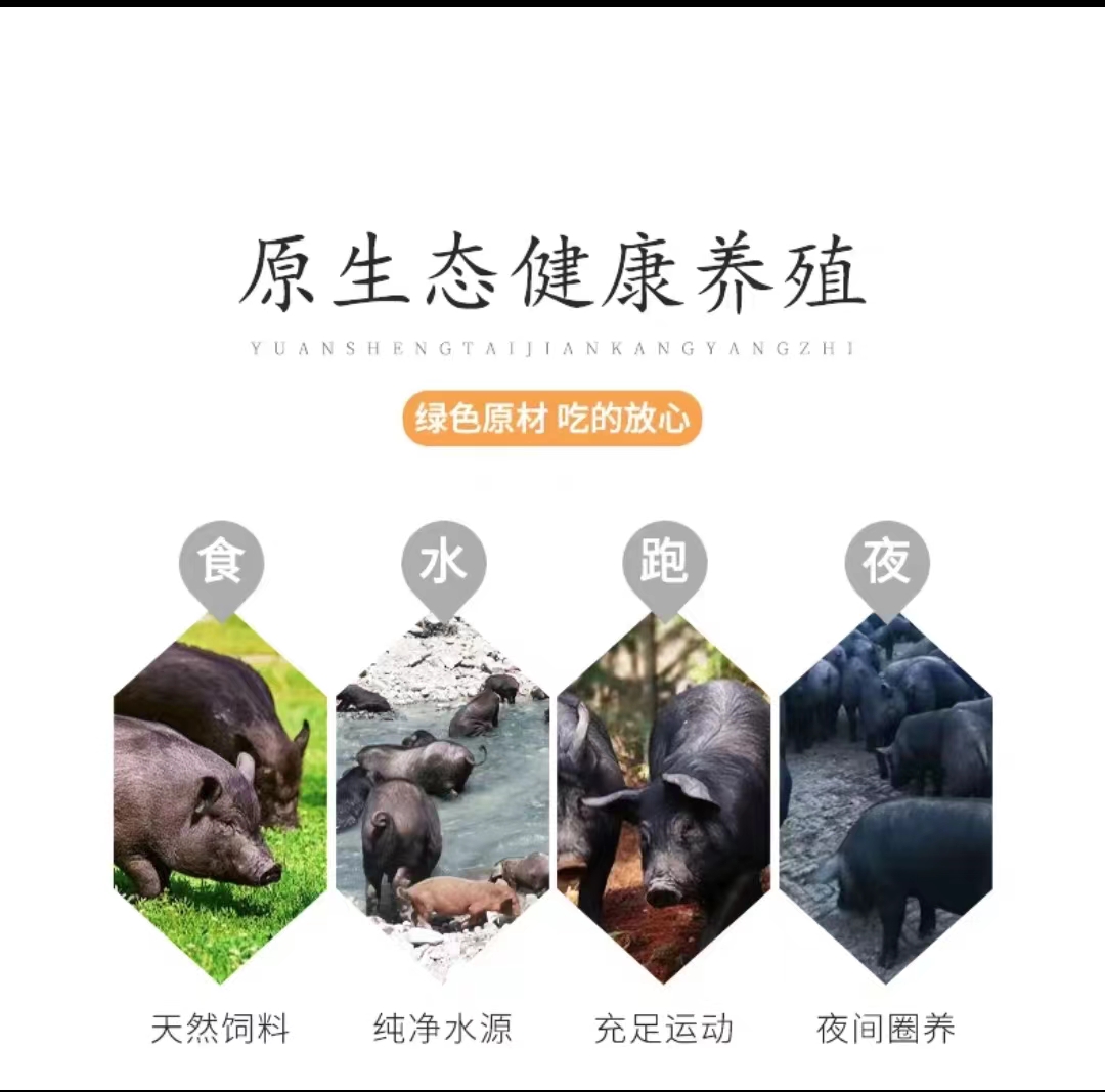 详情2.jpg