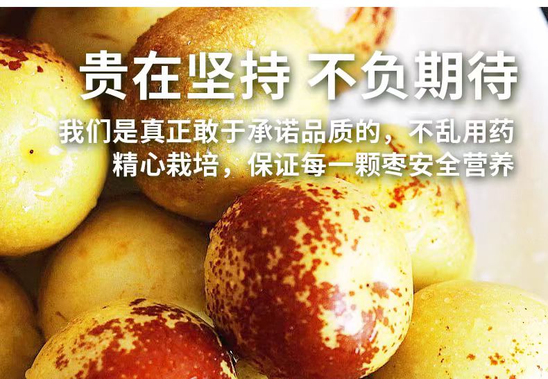 详情页11.jpg