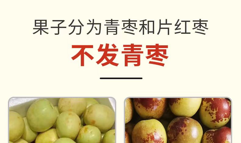 详情页3.jpg