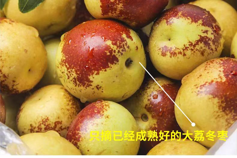 详情页6.jpg
