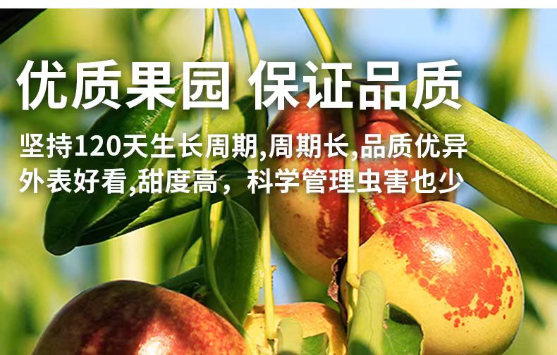 详情页9.jpg