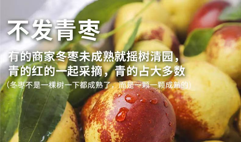 详情页5.jpg