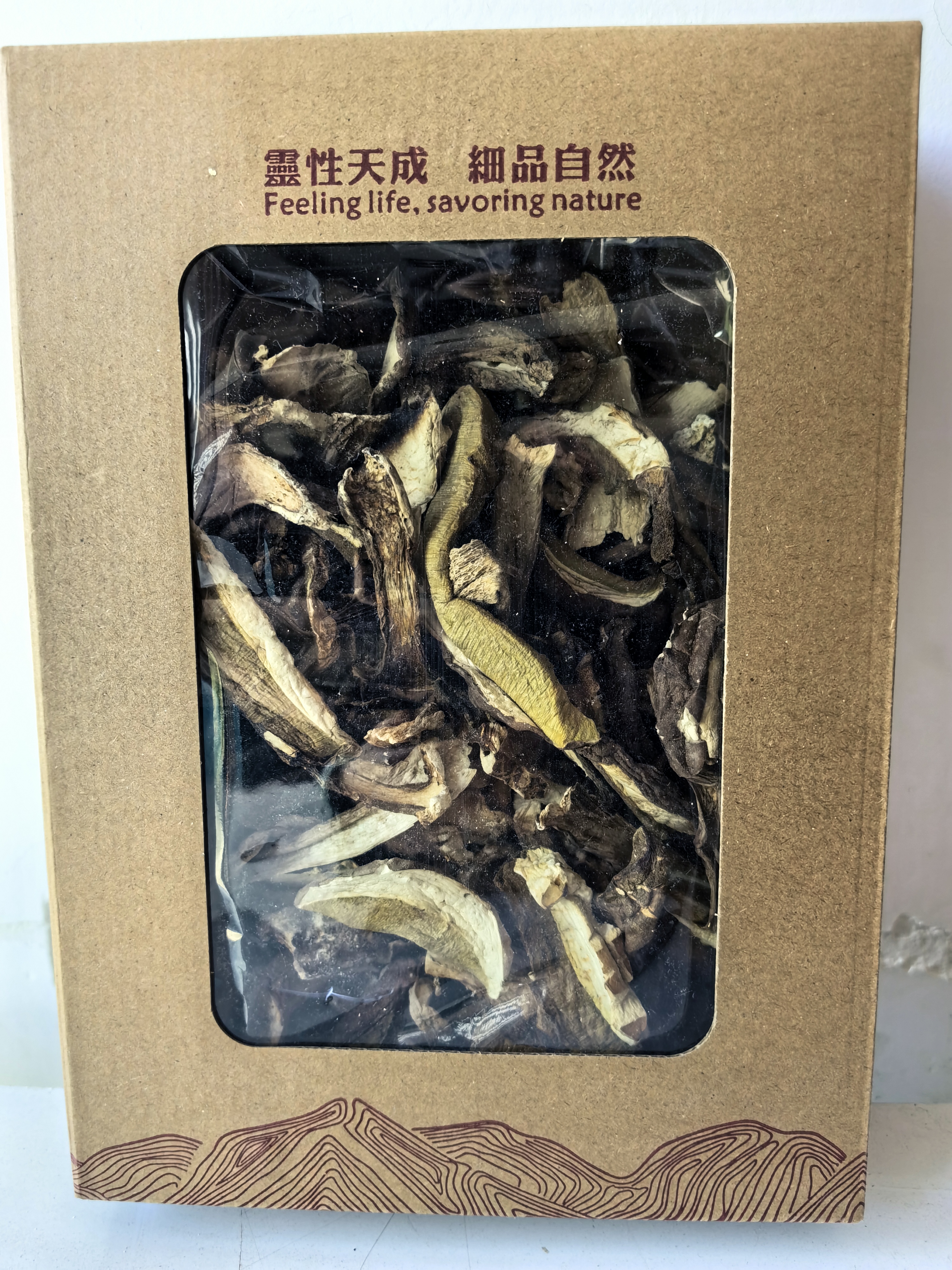 牛肝菌-主图---.jpg