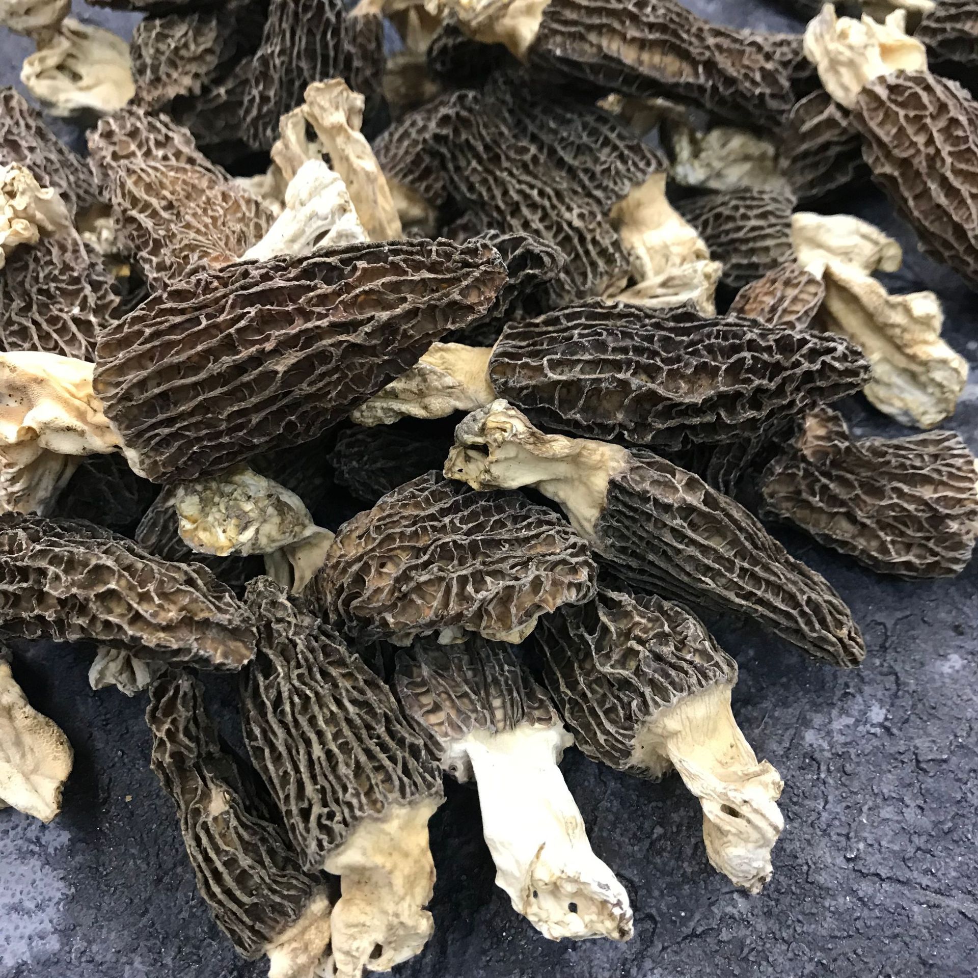 微信图片_20211025134158.jpg