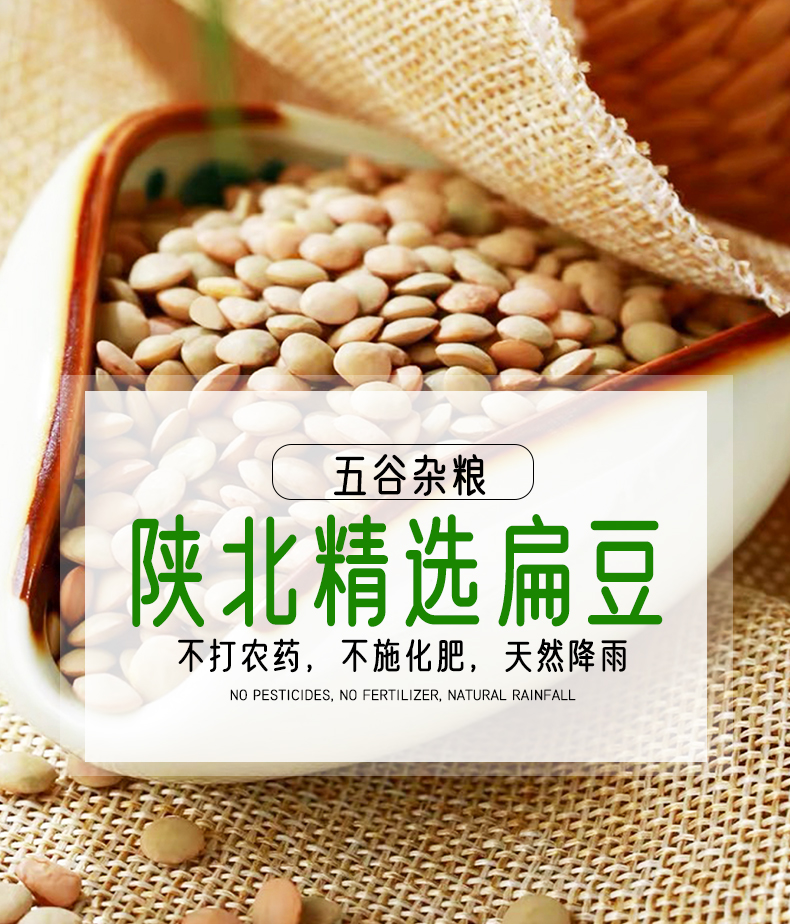 1-(1)新.jpg
