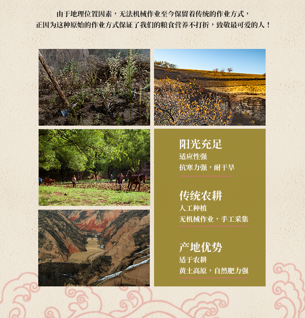 详情页_06.png