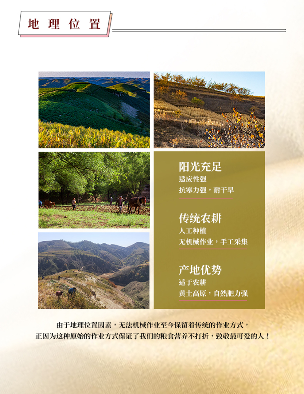 详情页05.jpg