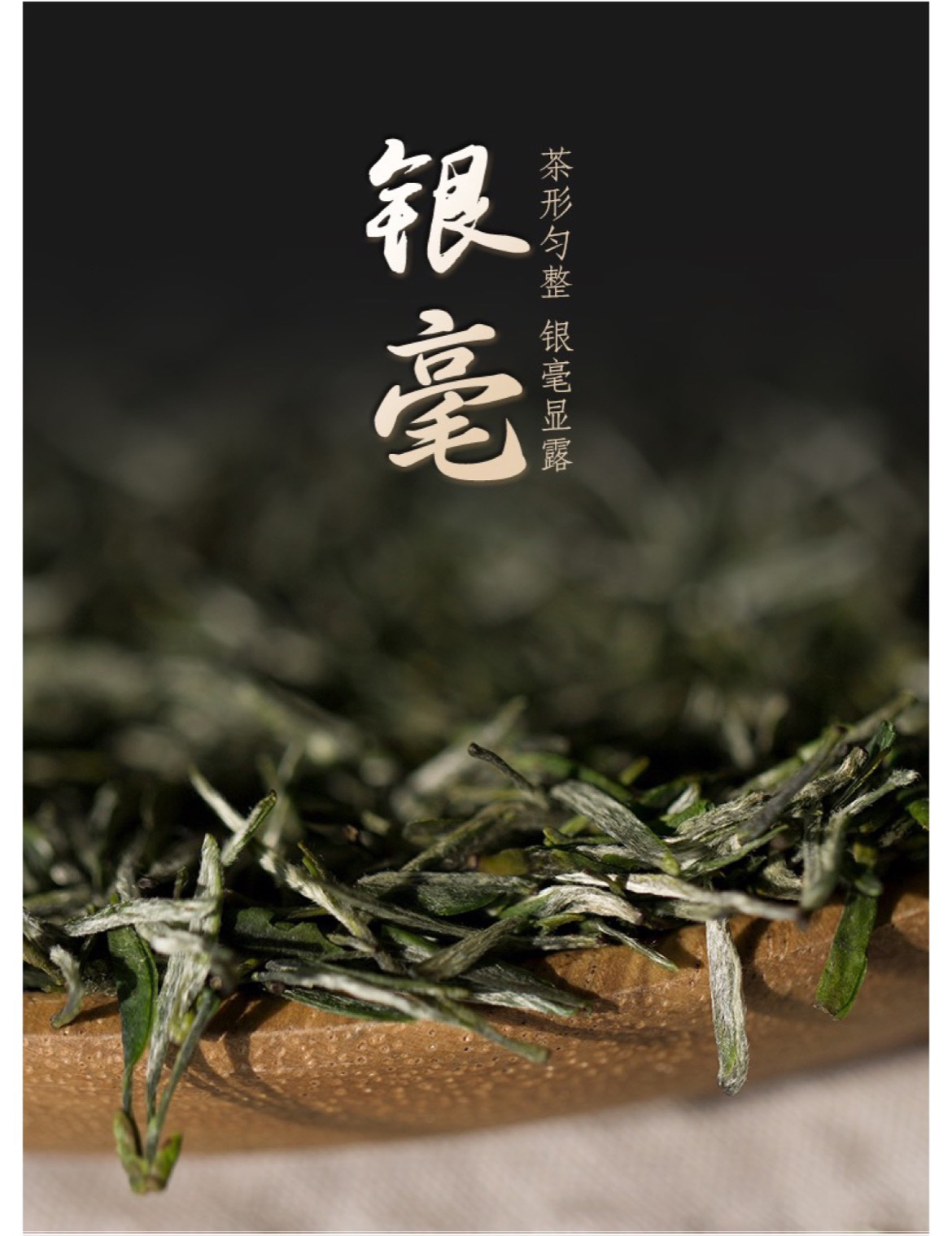 雄狮6绿_06.jpg