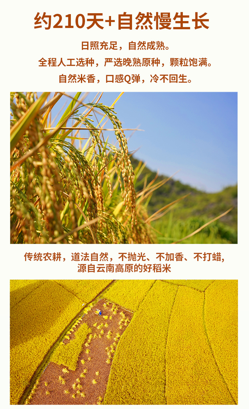 五谷_14.jpg