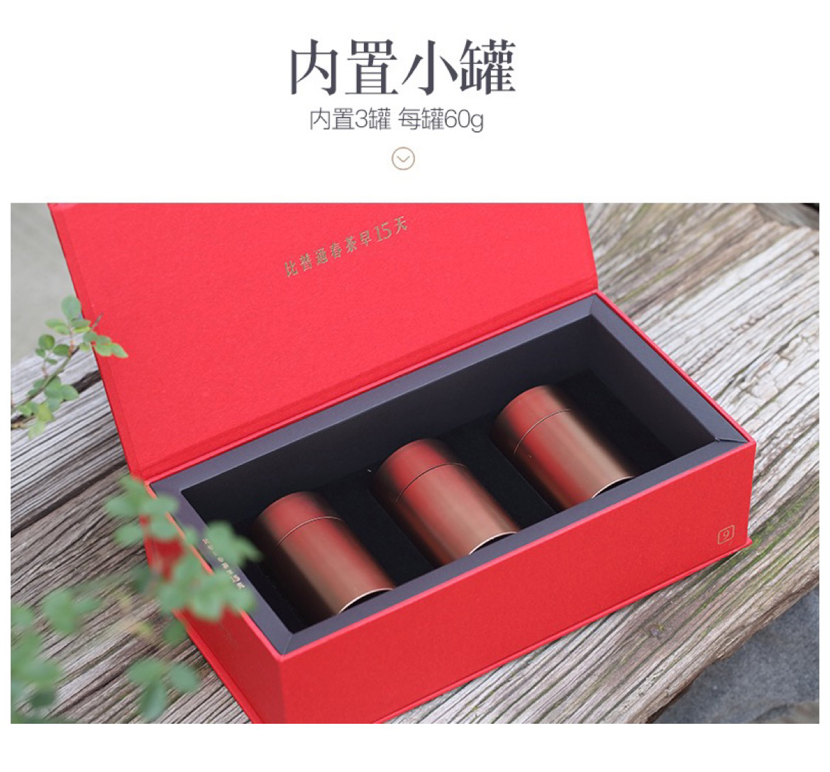 早春9红茶_05.jpg