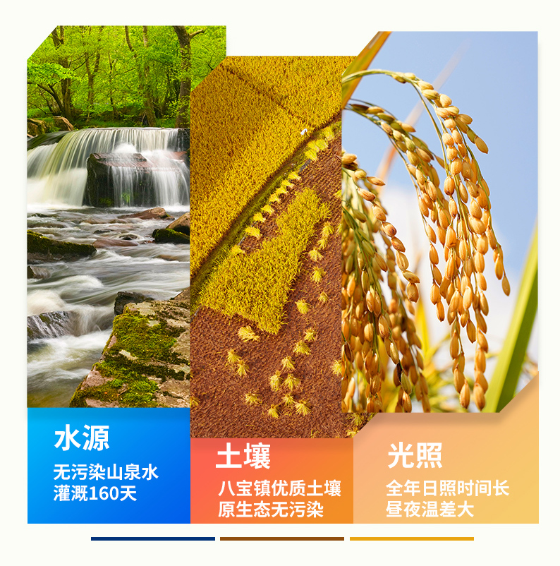 五谷_13.jpg