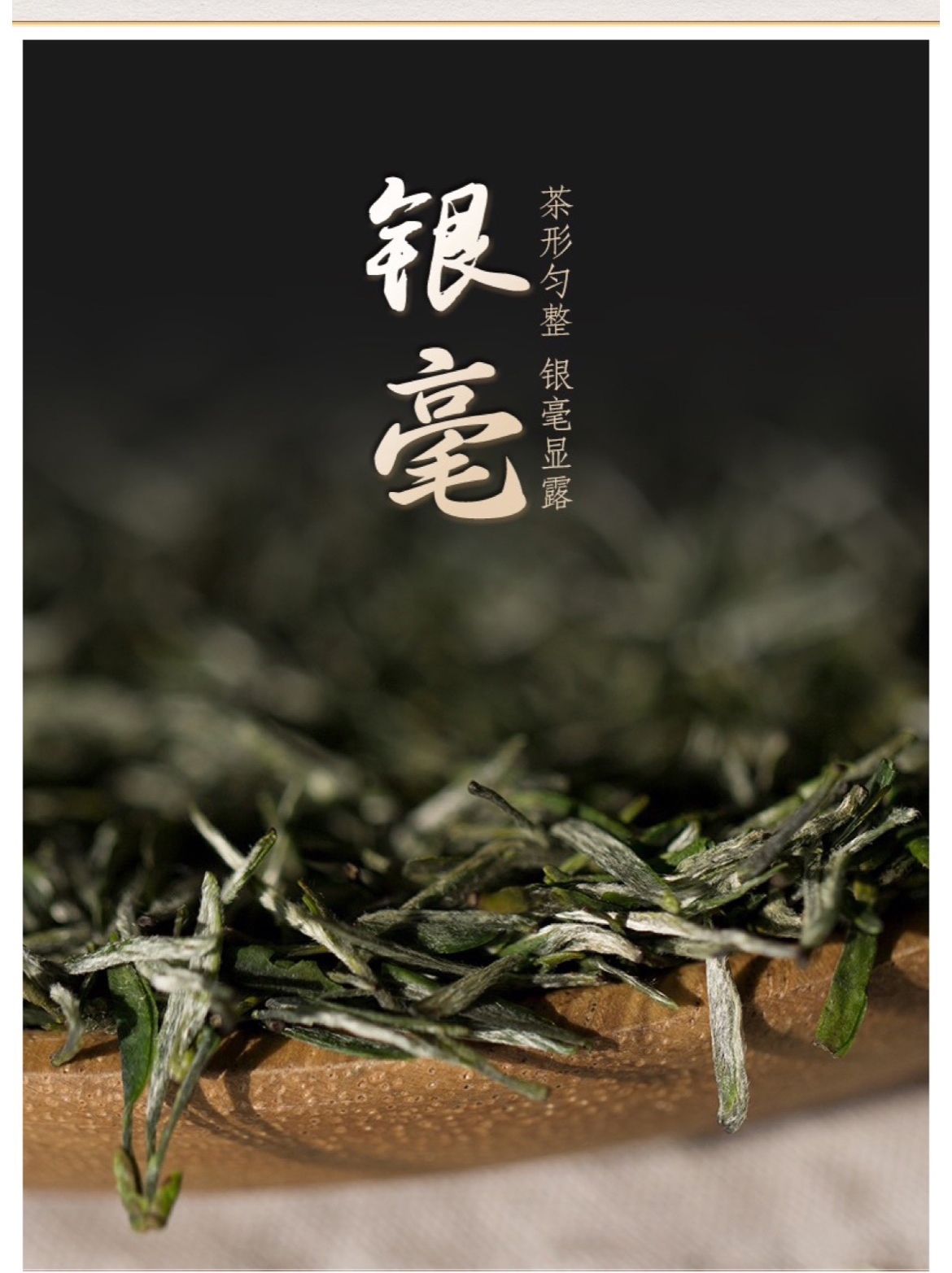 醒狮中国绿_05.jpg