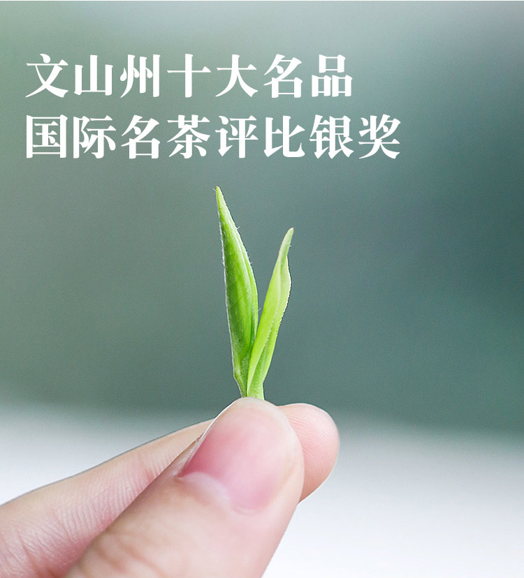 明前春茶2_02.jpg