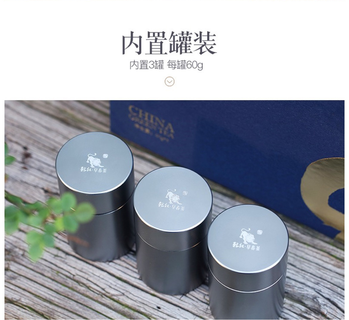 早春9绿_05.jpg