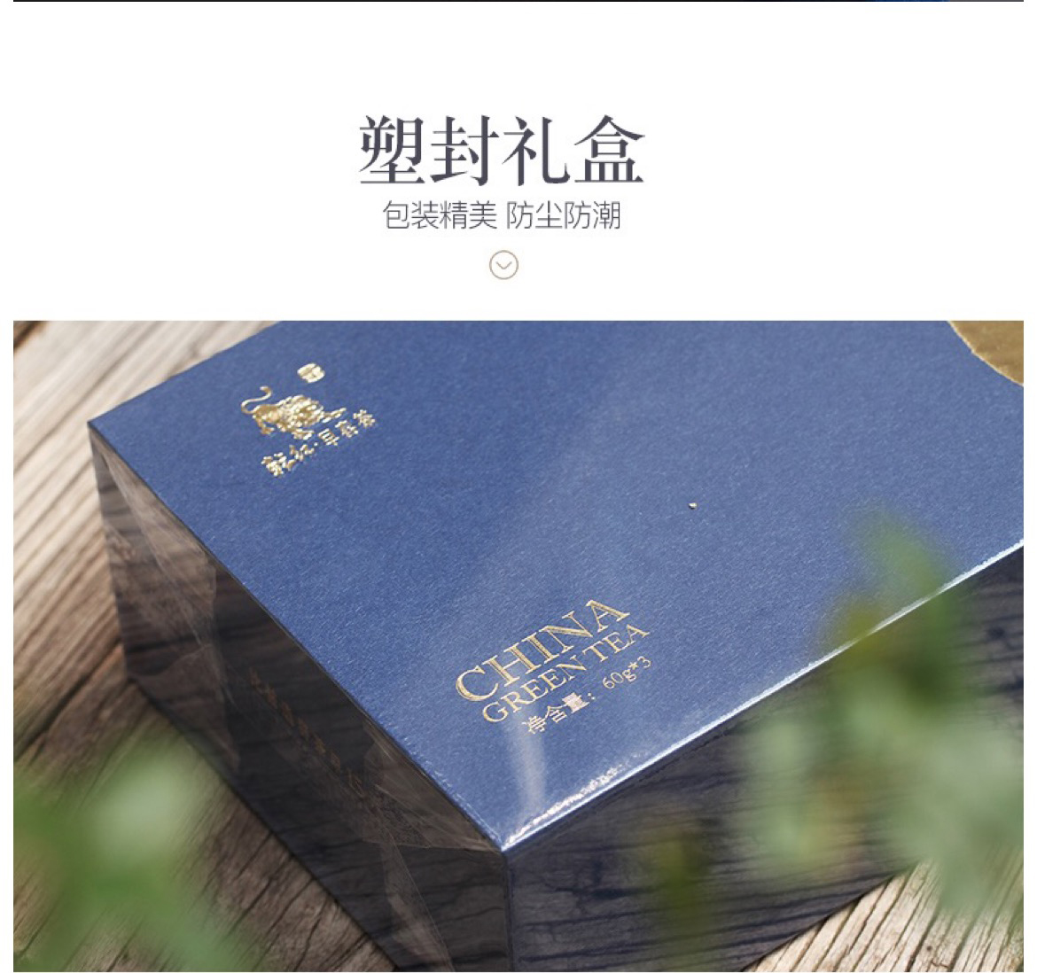 早春9绿_04.jpg