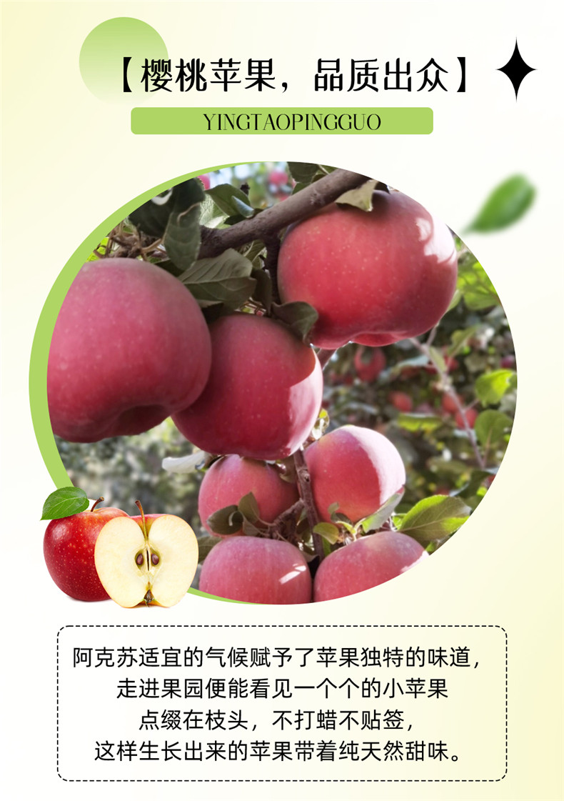 详情-2.png