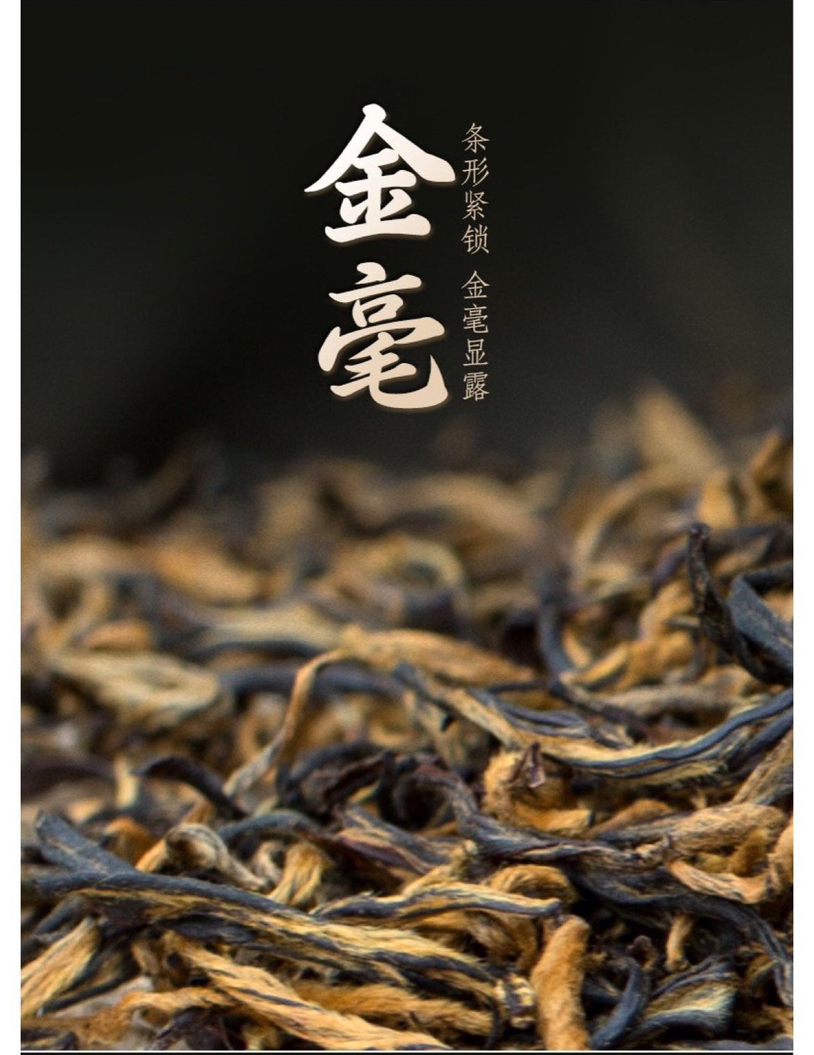 雄狮6红_05.jpg