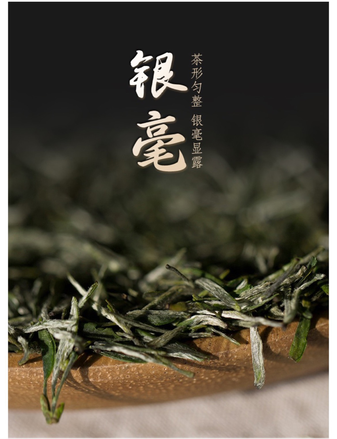 雄狮9绿_05.jpg