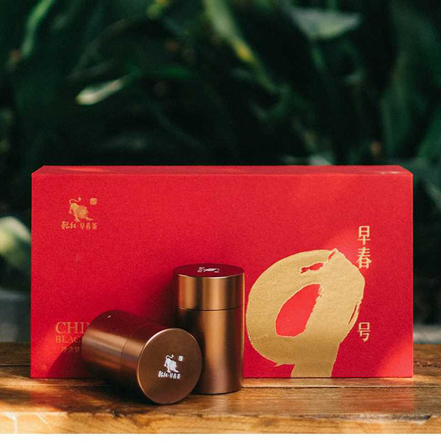 2023新茶乾红早春红茶【早春9号】180g
