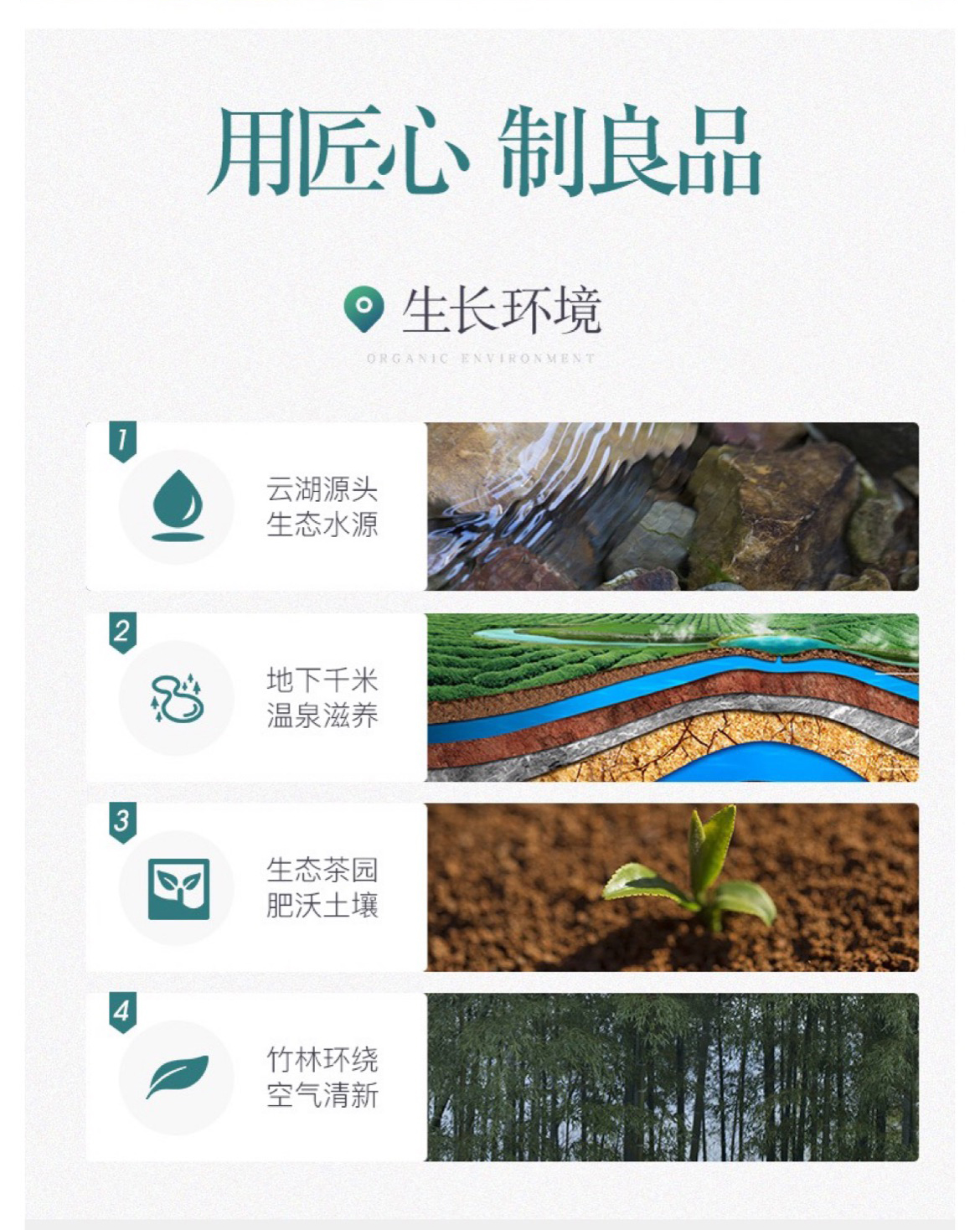 雄狮6红_09.jpg