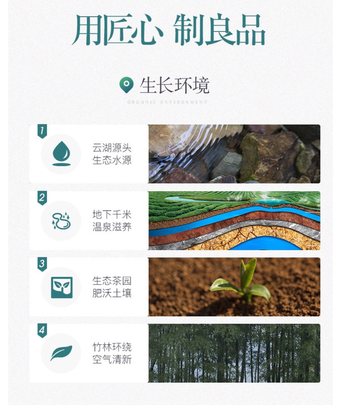 雄狮9绿_10.jpg