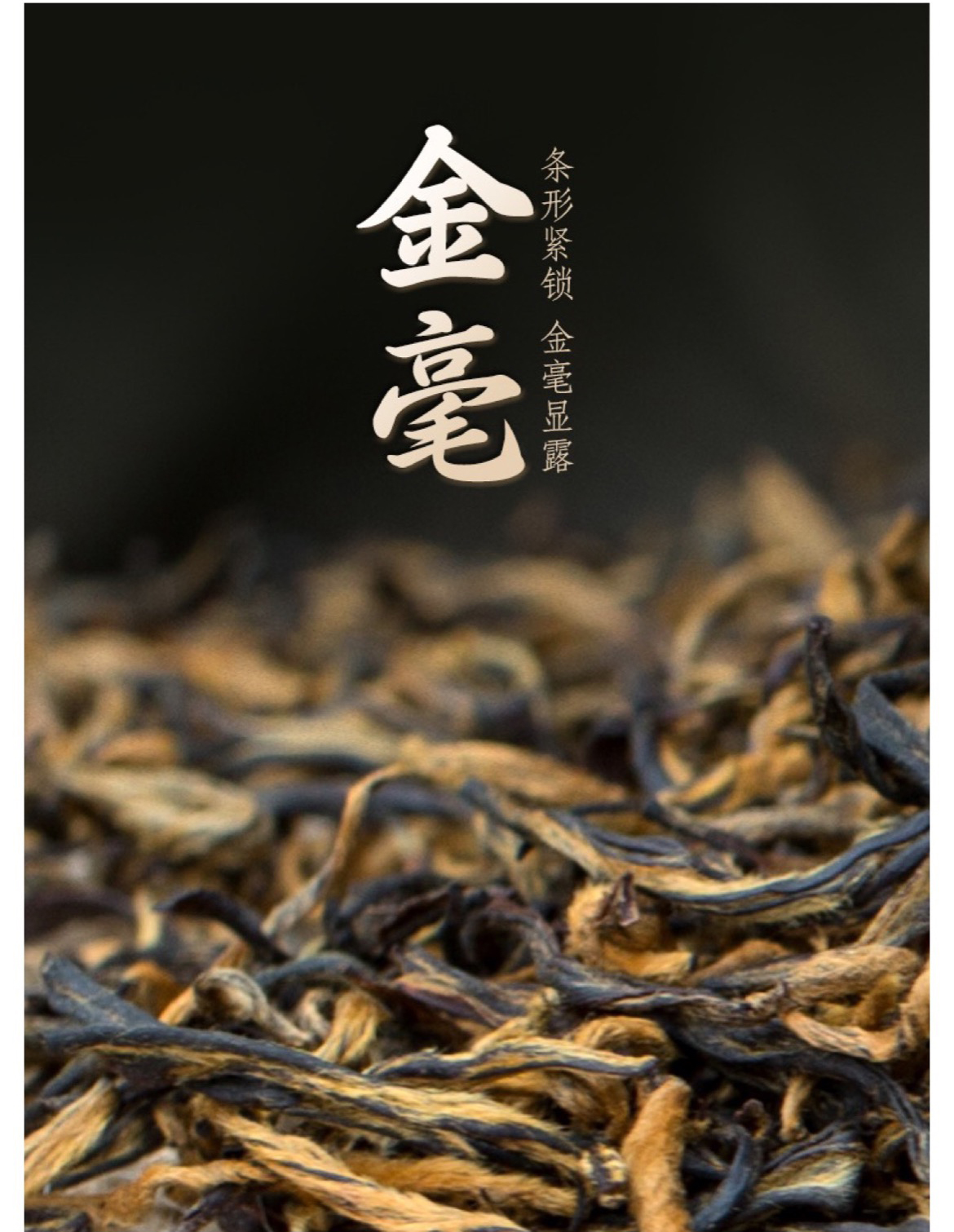 雄狮9红_05.jpg