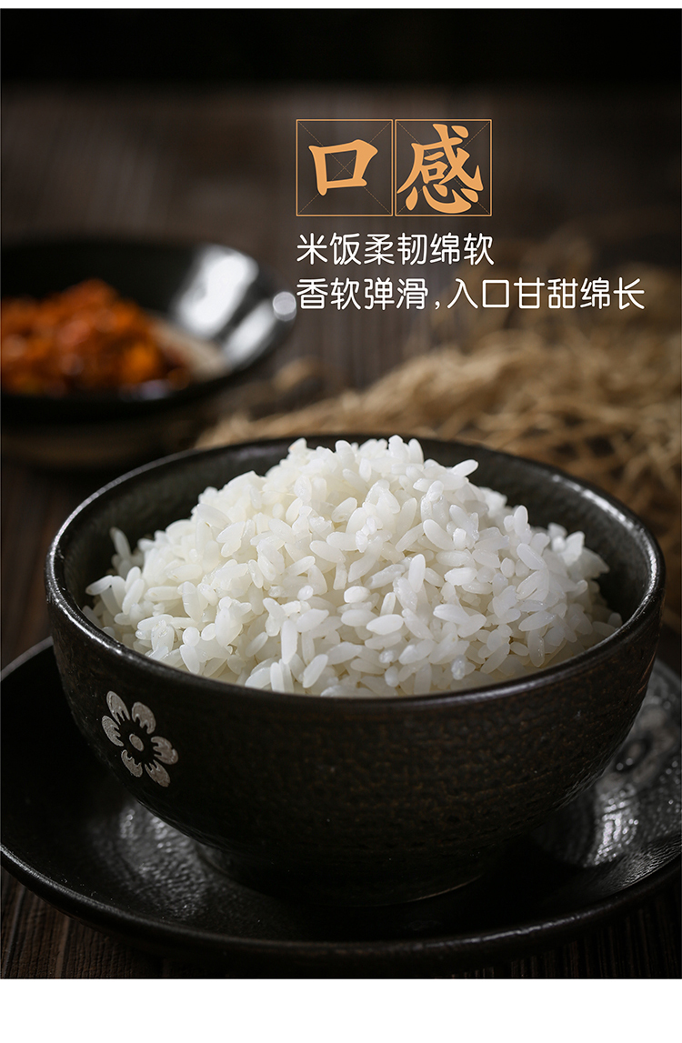 2. 广南町香5kg_08.jpg