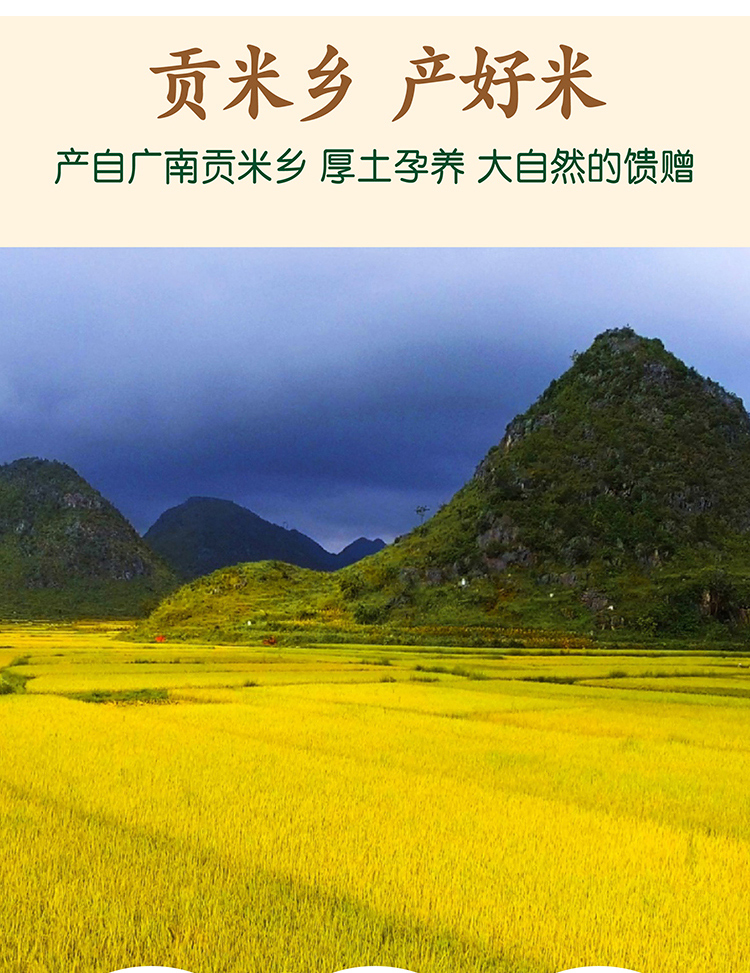 2. 广南町香5kg_03.jpg