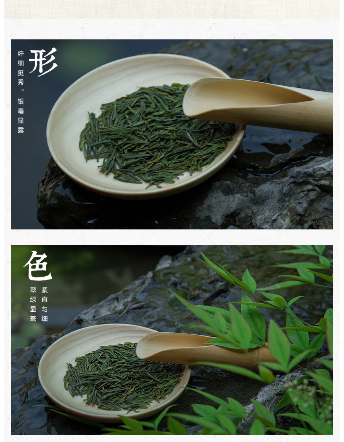 玉叶_03.jpg