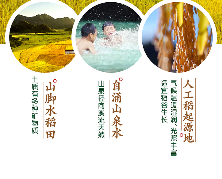 2. 广南町香5kg_04.jpg